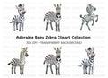 Adorable Zebra Clipart Bundle