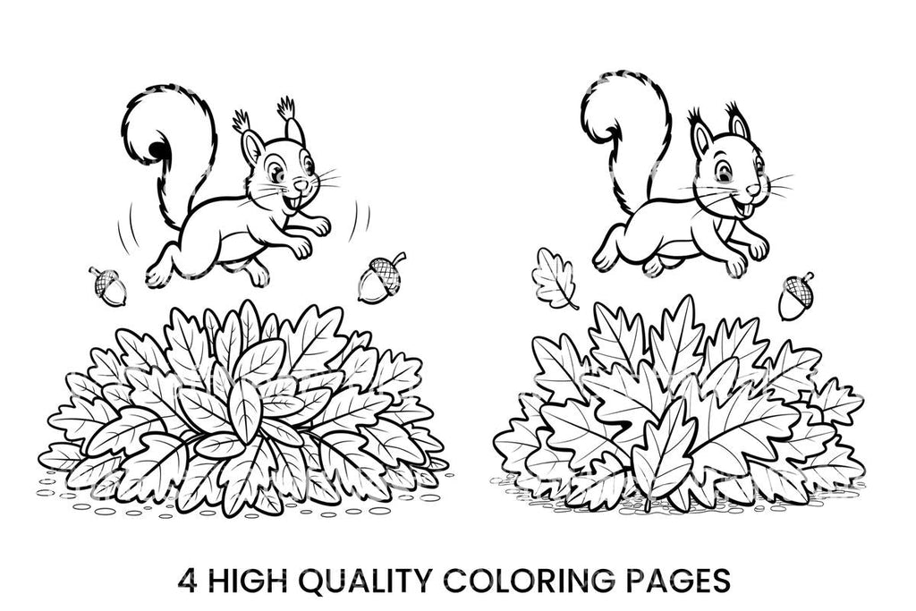 Autumn Squirrels and Leaves Coloring Books