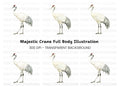 Body Crane Bird Clipart Bundle