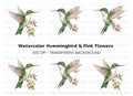 Hummingbird with Pink Flowers Clipart Bundle