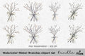 Winter Branches Clipart Bundle