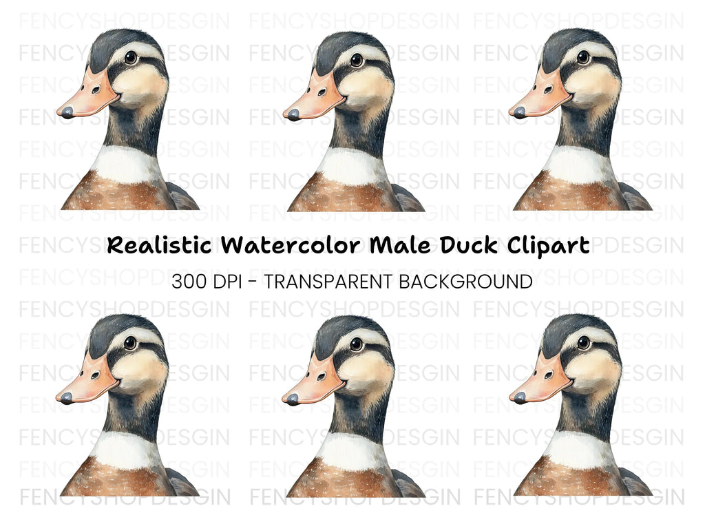 Cute Duckling Clipart Bundle
