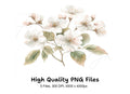 Delicate White Cherry Blossom Clipart Bundle