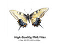 Dynamic Butterfly Clipart Bundle