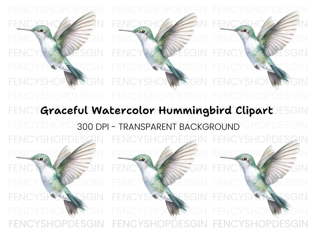 Hummingbird Clipart Bundle