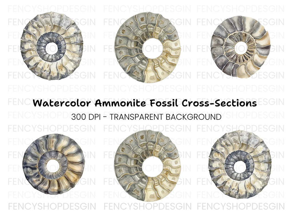 Ammonite Fossil Shells Clipart Bundle