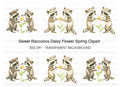 Cute Raccoons with Daisy Clipart Bundle
