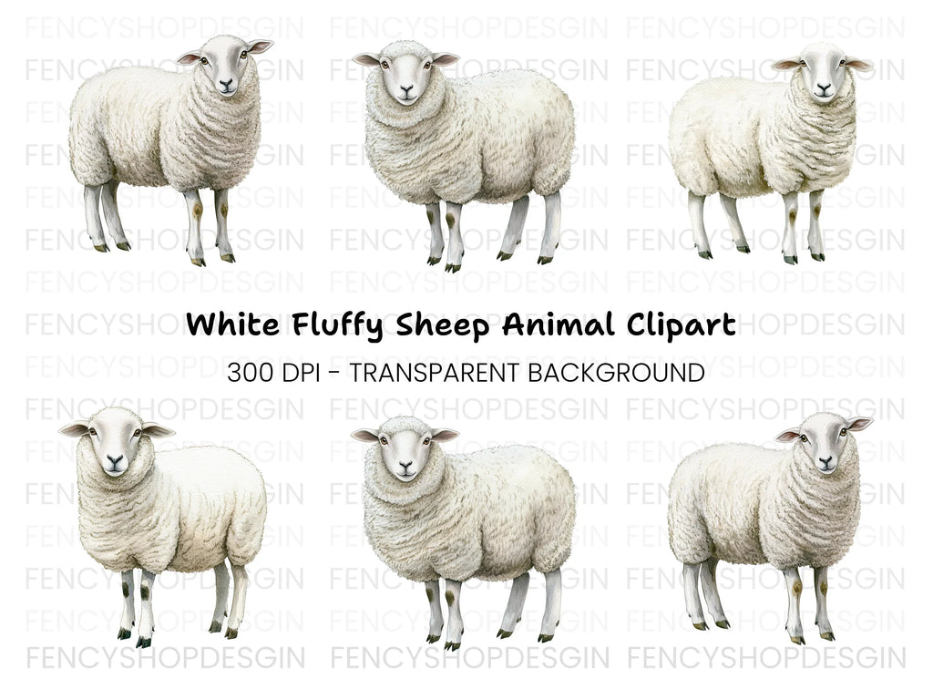 Fluffy White Sheep Clipart Bundle