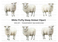Fluffy White Sheep Clipart Bundle