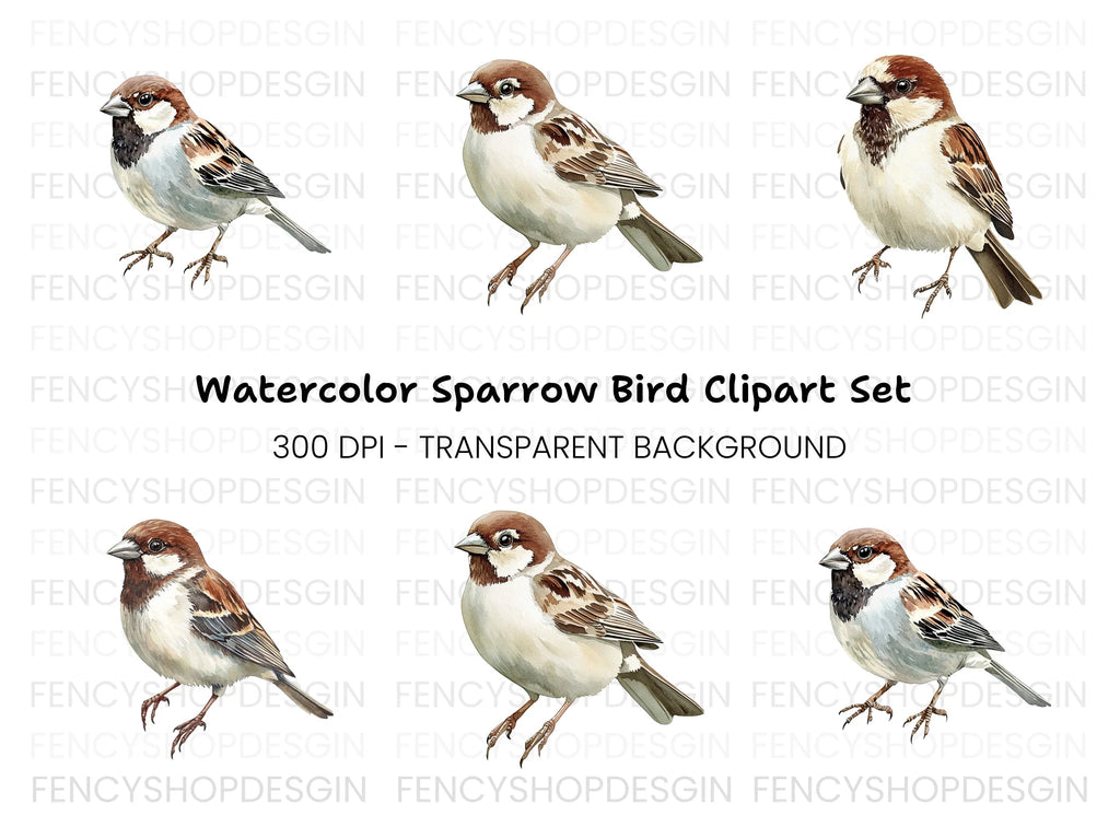 Realistic Sparrow Bird Clipart Bundle
