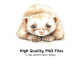 Cute Ferret Clipart Bundle
