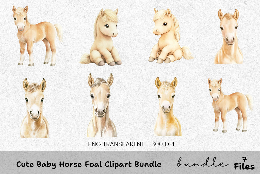 Cute Baby Horse Foal Clipart Bundle