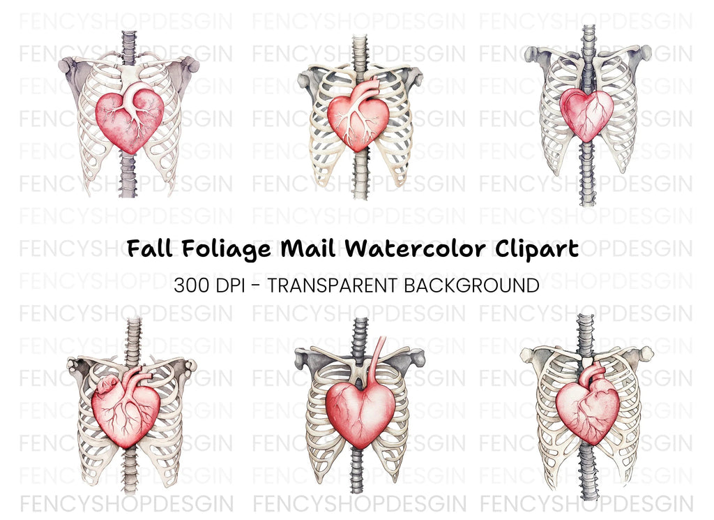 Anatomical Heart and Ribcage Clipart Bundle
