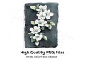 Elegant White Flowers on Slate Clipart Bundle