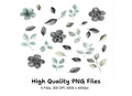 Elegant Floral Leaf Clipart Bundle