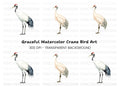 Elegant Red Crowned Crane Clipart Bundle