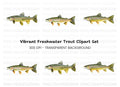 Realistic Brown Trout Fish Clipart Bundle