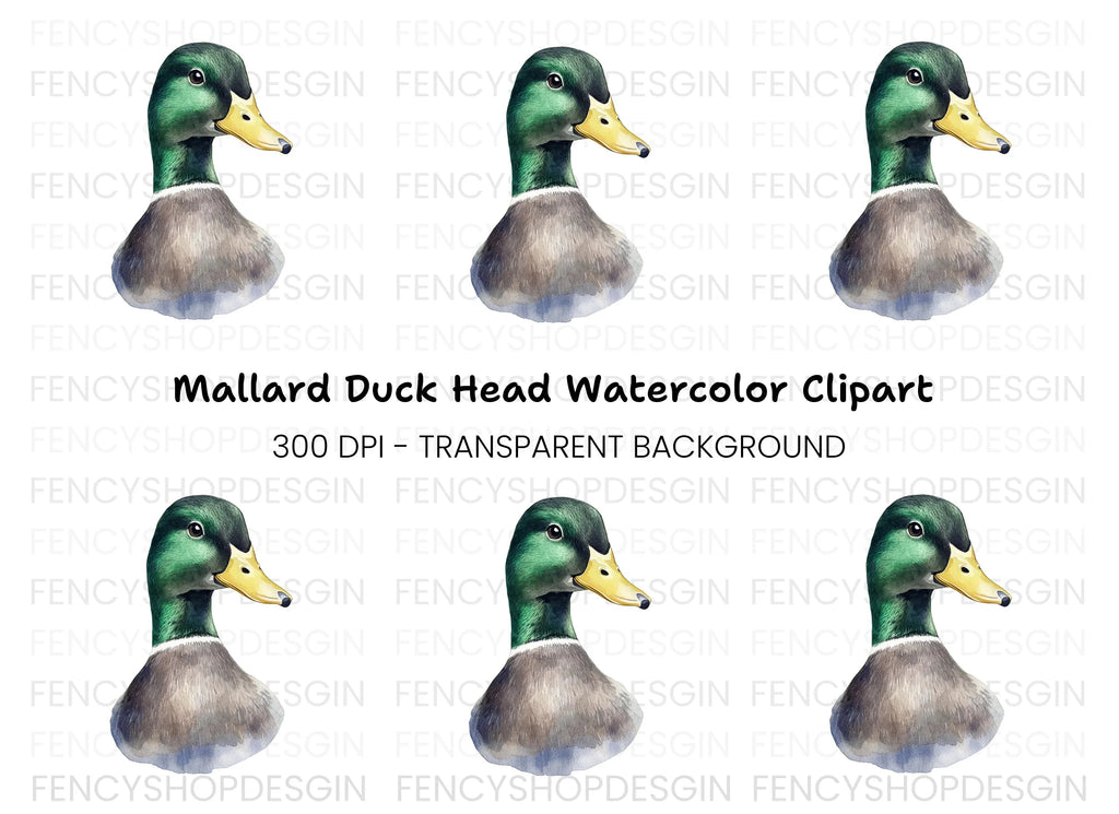 Mallard Duck Head Clipart Bundle