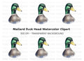 Mallard Duck Head Clipart Bundle