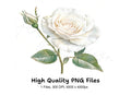 Single White Rose with Bud Clipart Bundle