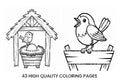 Christmas Bunny Nativity Coloring Books