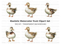 Cute Mallard Duck Clipart Bundle
