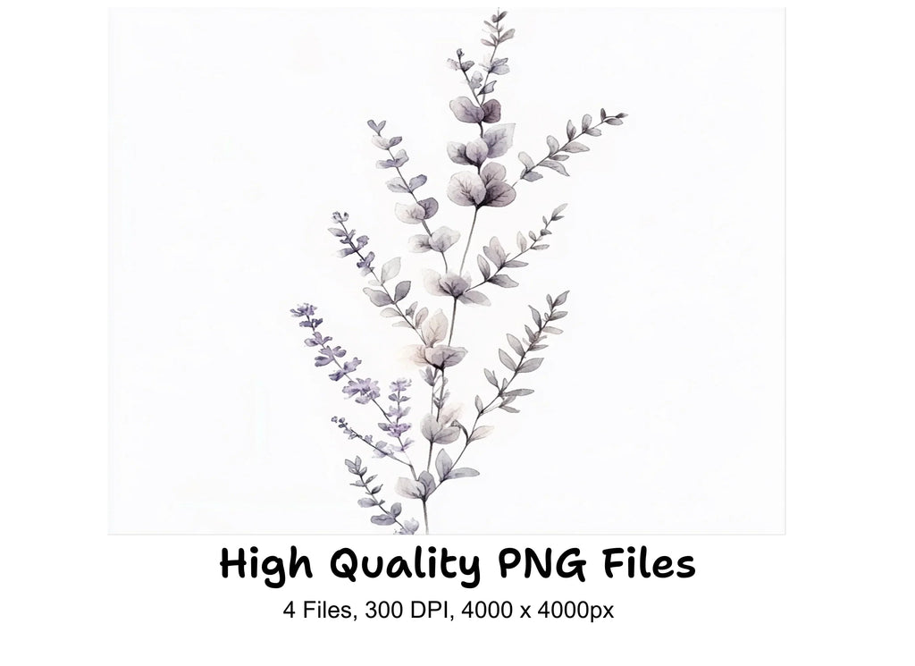 Eucalyptus and Lavender Clipart Bundle