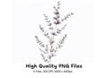 Eucalyptus and Lavender Clipart Bundle