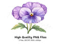 Delicate Purple Pansy Clipart Bundle