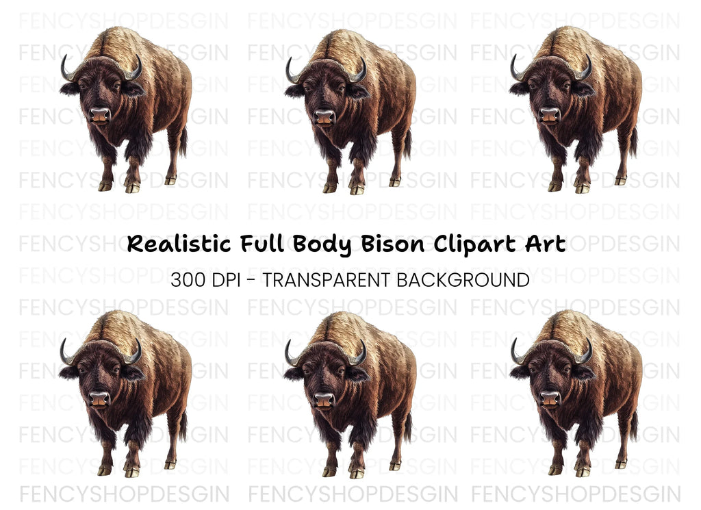 Majestic American Bison Clipart Bundle