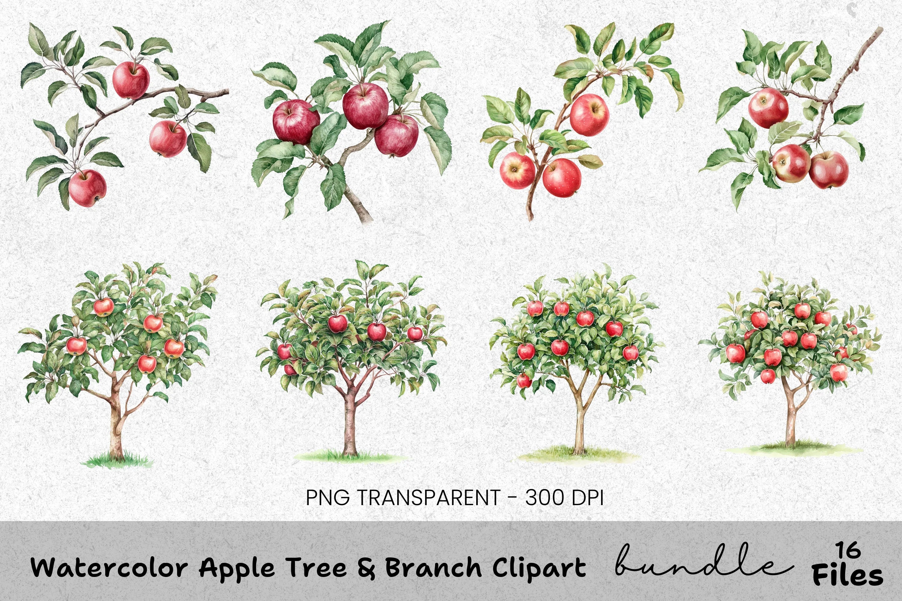 Apple Tree Branch Clipart Bundle