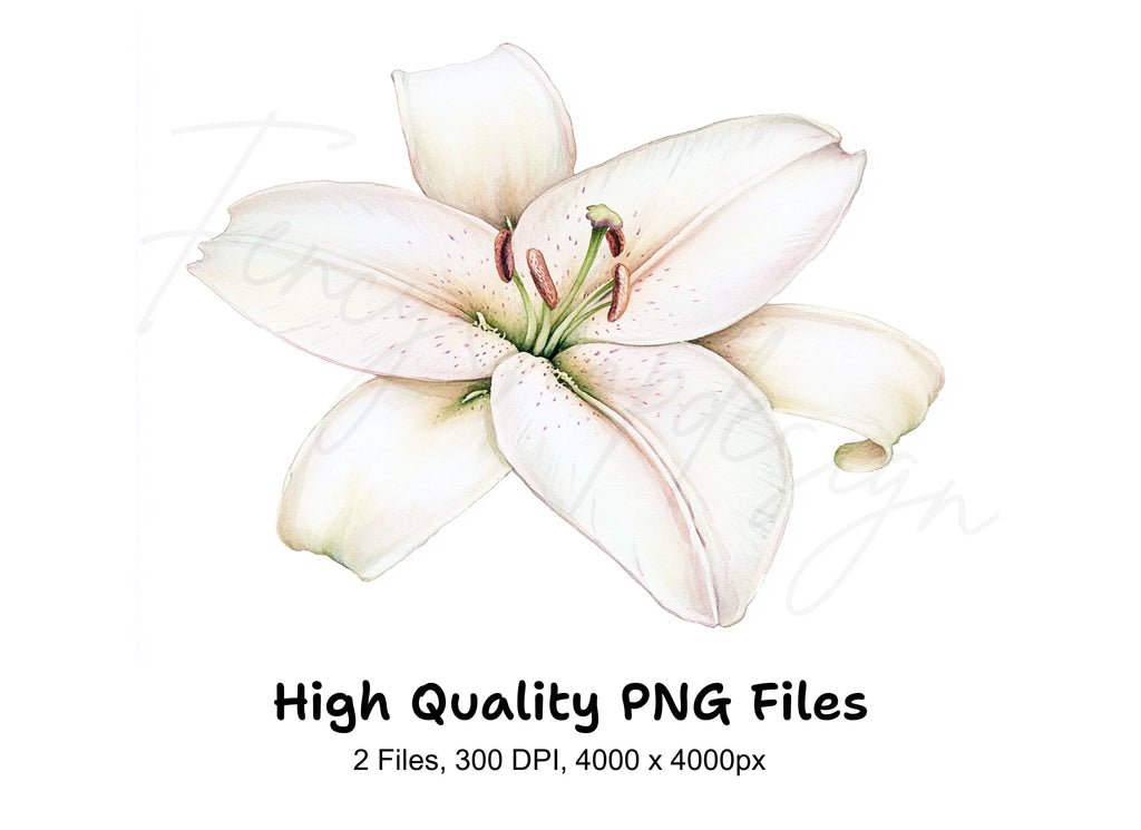 Elegant White Lily Flower Clipart Bundle