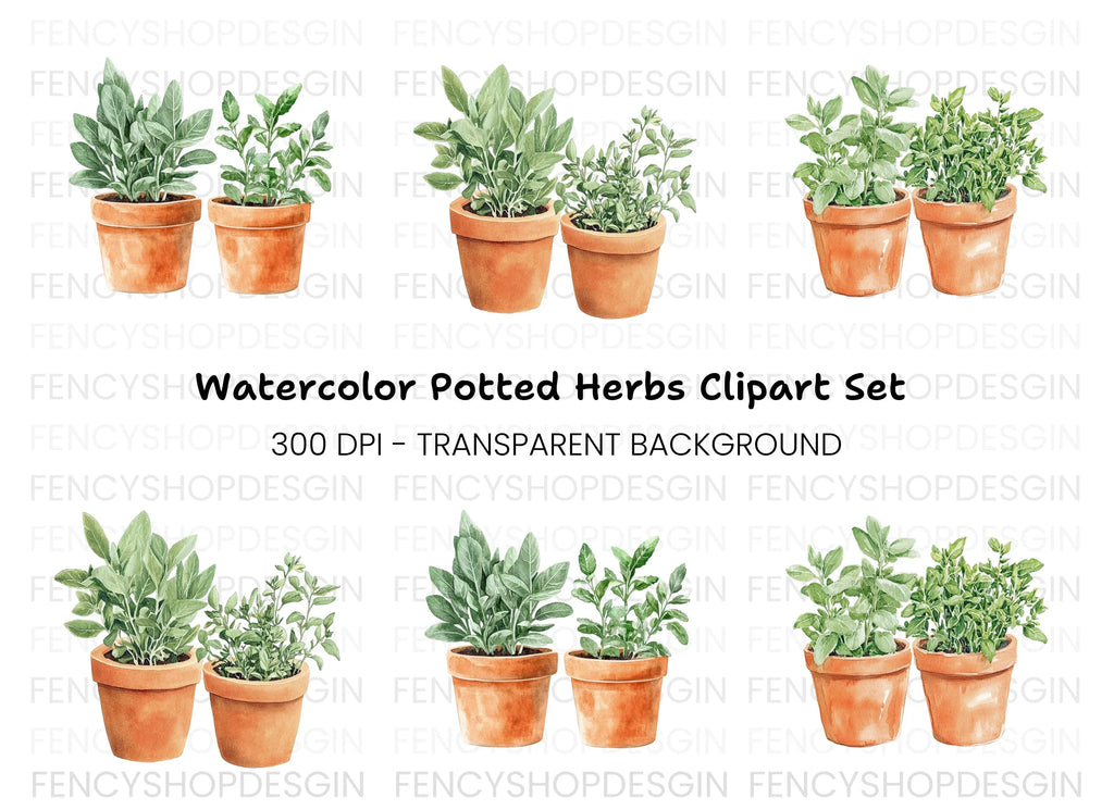 Herb Garden Potted Plants Clipart Bundle