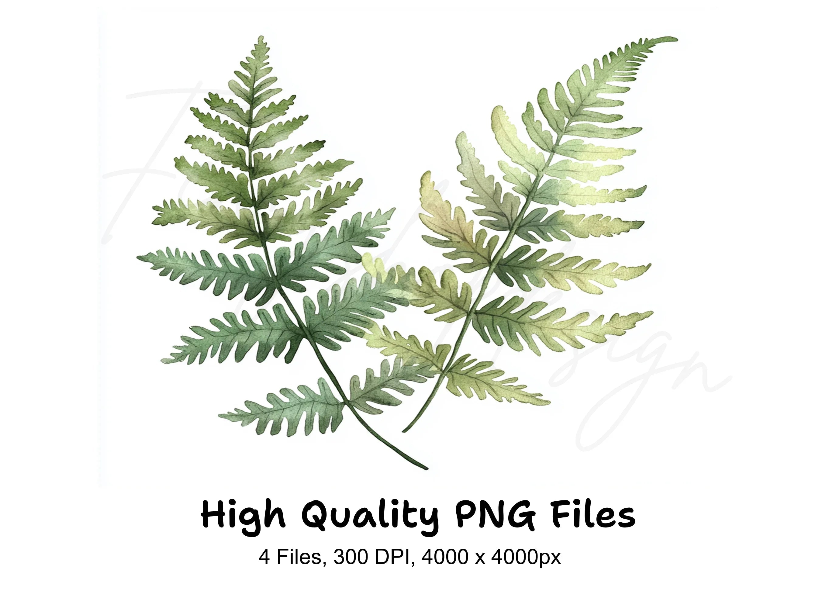 Green Fern Foliage Clipart Bundle