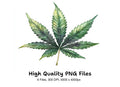 Cannabis Leaves Clipart Bundle