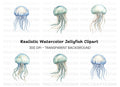 Colorful Jellyfish Clipart Bundle