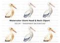 Stork Illustrations Clipart Bundle