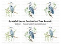 Heron on Branch with Green Leaves Clipart Bundle
