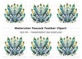 Peacock Feather Arrangement Clipart Bundle