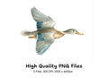 Flying Duck Clipart Bundle