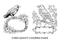 Raven and Crow Coloring Books