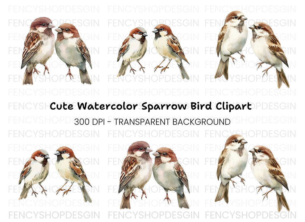 Sparrow Birds Clipart Bundle