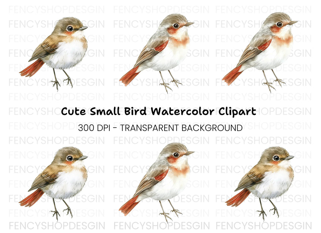 Cute Bird Clipart Bundle