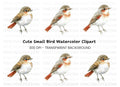 Cute Bird Clipart Bundle