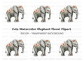 Floral Elephant Clipart Bundle