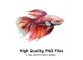 Betta Fish Clipart Bundle