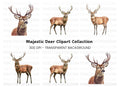 Majestic Deer Clipart Bundle