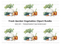 Fresh Garden Vegetables Clipart Bundle