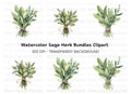 Fresh Herb Bouquets Clipart Bundle
