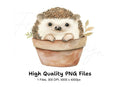 Charming Hedgehog in Terracotta Pot Clipart Bundle